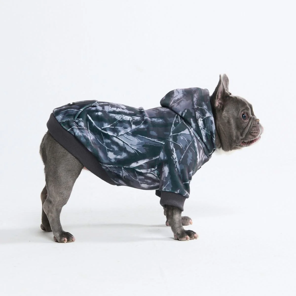 Miniature 1